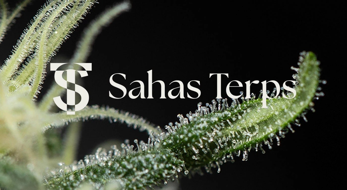 sahas terps static sift